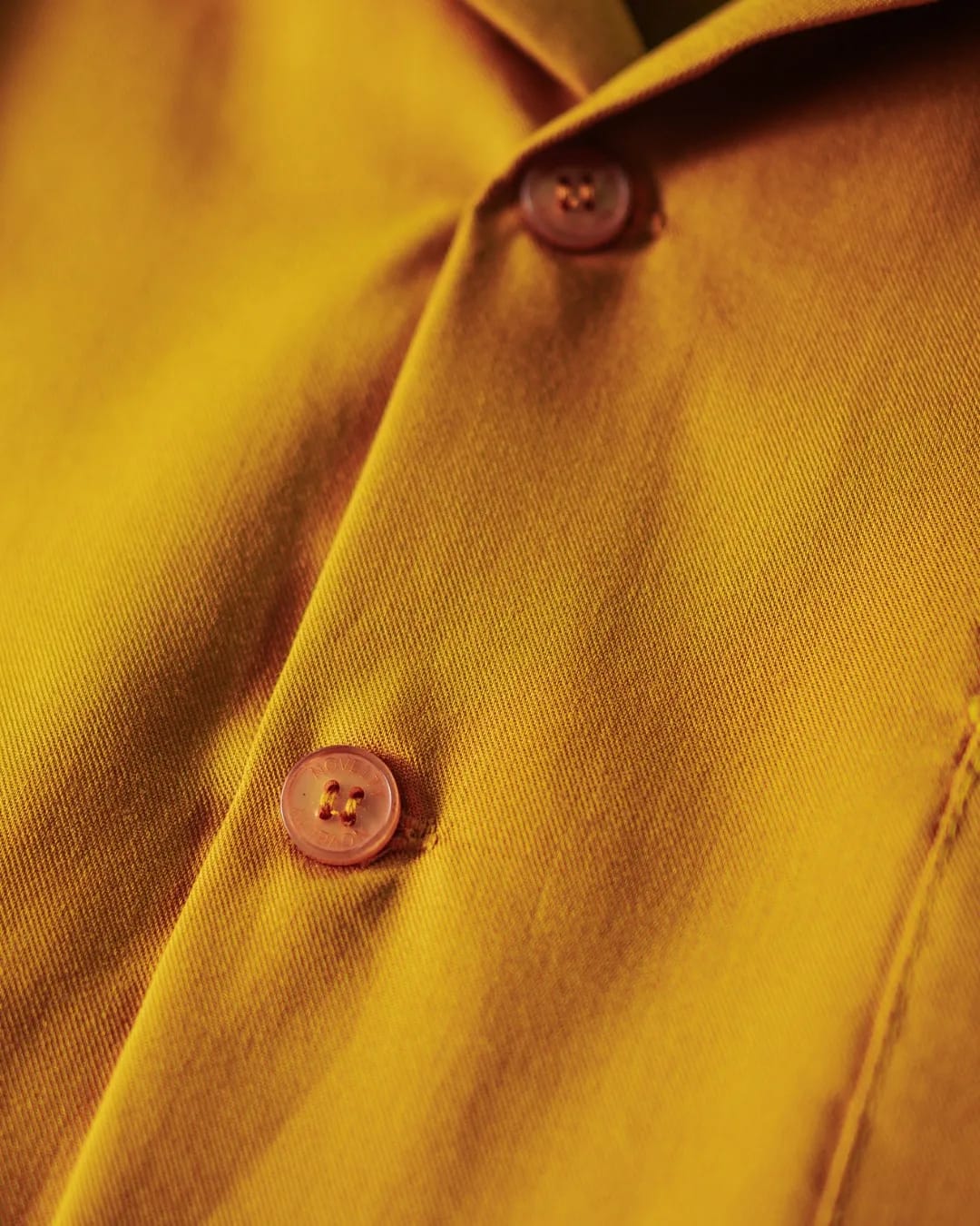 Aurelius - Toyobo Gold Short Sleeve Shirt - Image 11